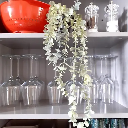 Le Petit Figuier Villefranche-du-Périgord