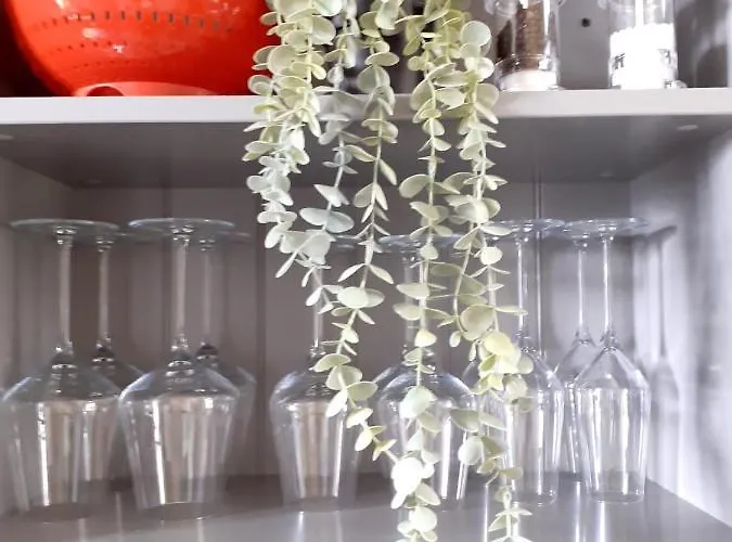 Le Petit Figuier Villefranche-du-Perigord